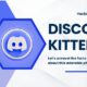 discord kitten