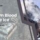 skyrim blood on the ice