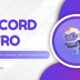 discord nitro