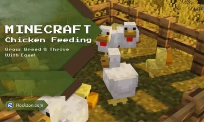 minecraft chicken
