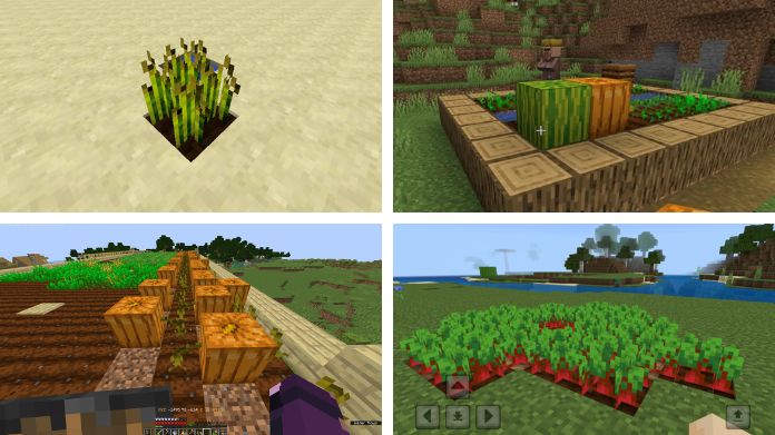 minecraft chicken