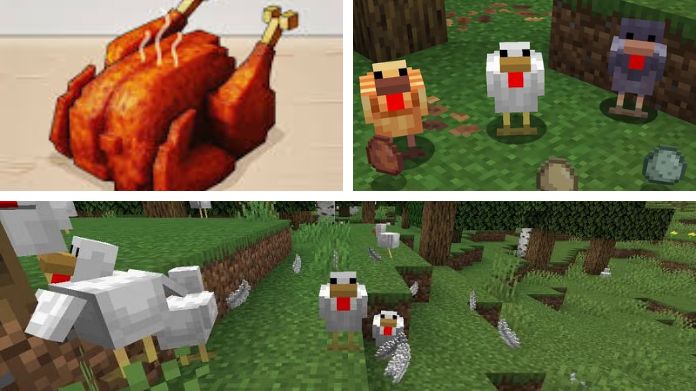 minecraft chicken