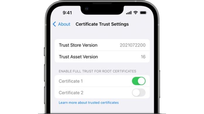 cannot verify server identity