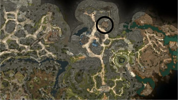 pandirna bg3 healing