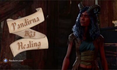 pandirna bg 3 healing